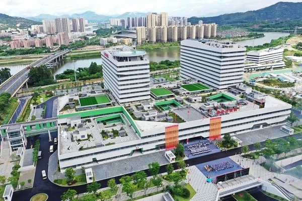 大发500官网(中国)官方登录入口