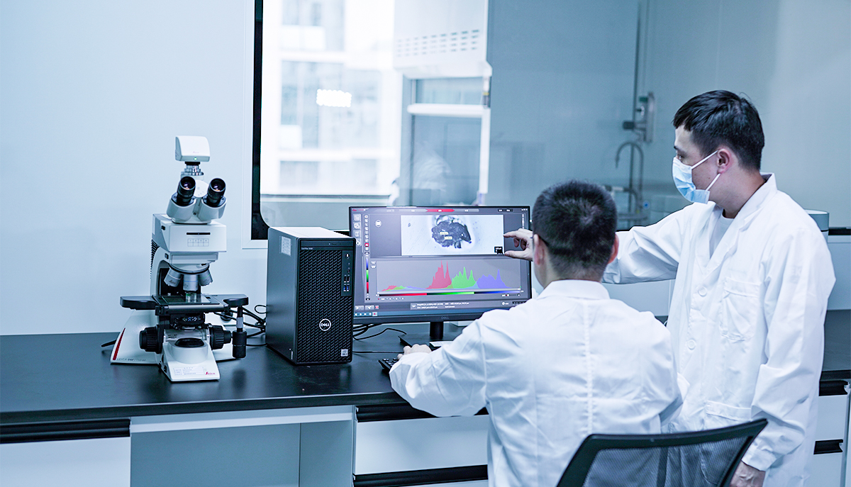 ��ҳ| ��ȦΪdu�����������