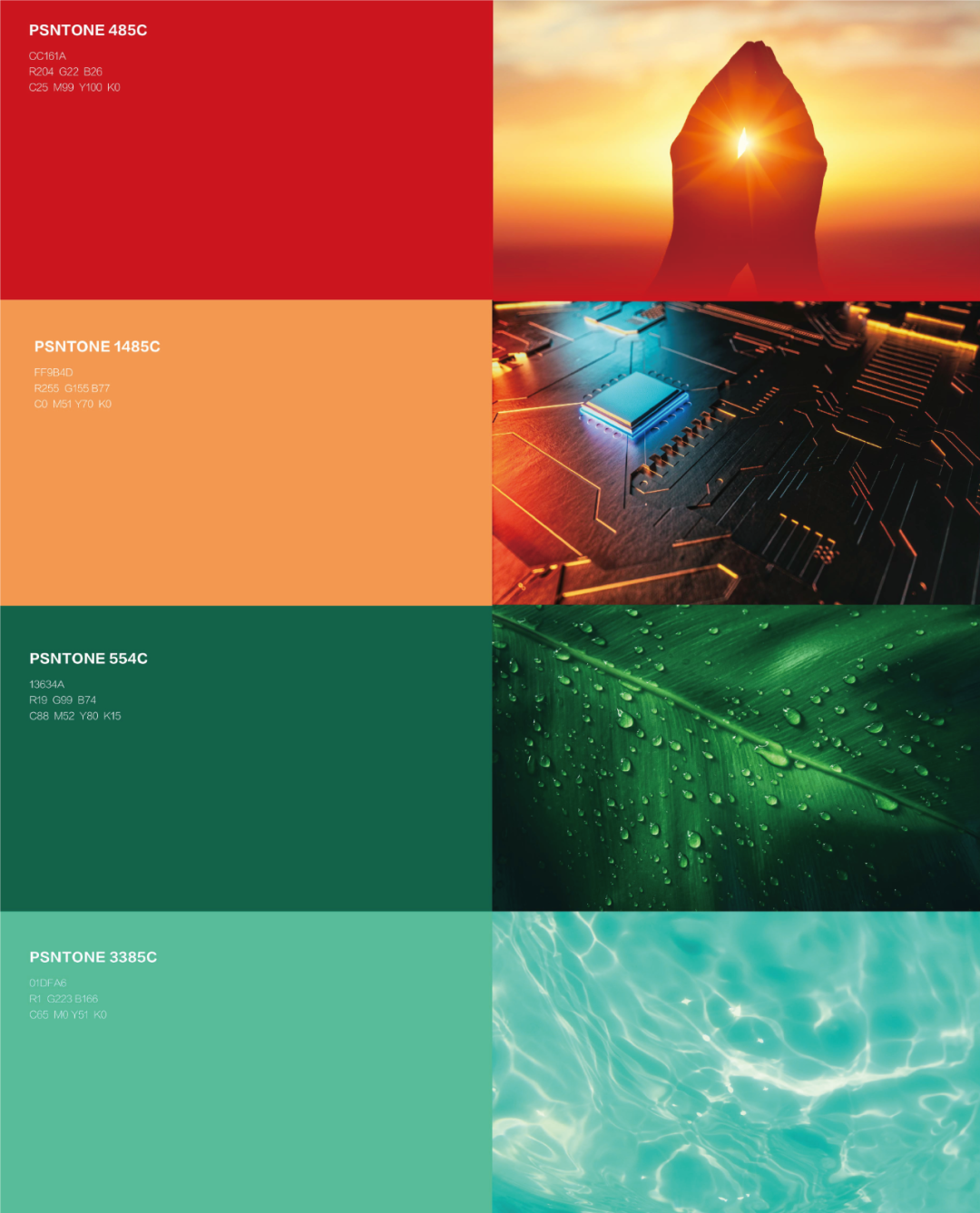 ��ҳ| ��ȦΪdu�����������