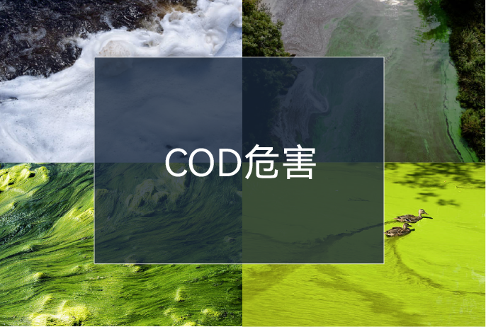 ��ҳ| ��ȦΪdu�����������