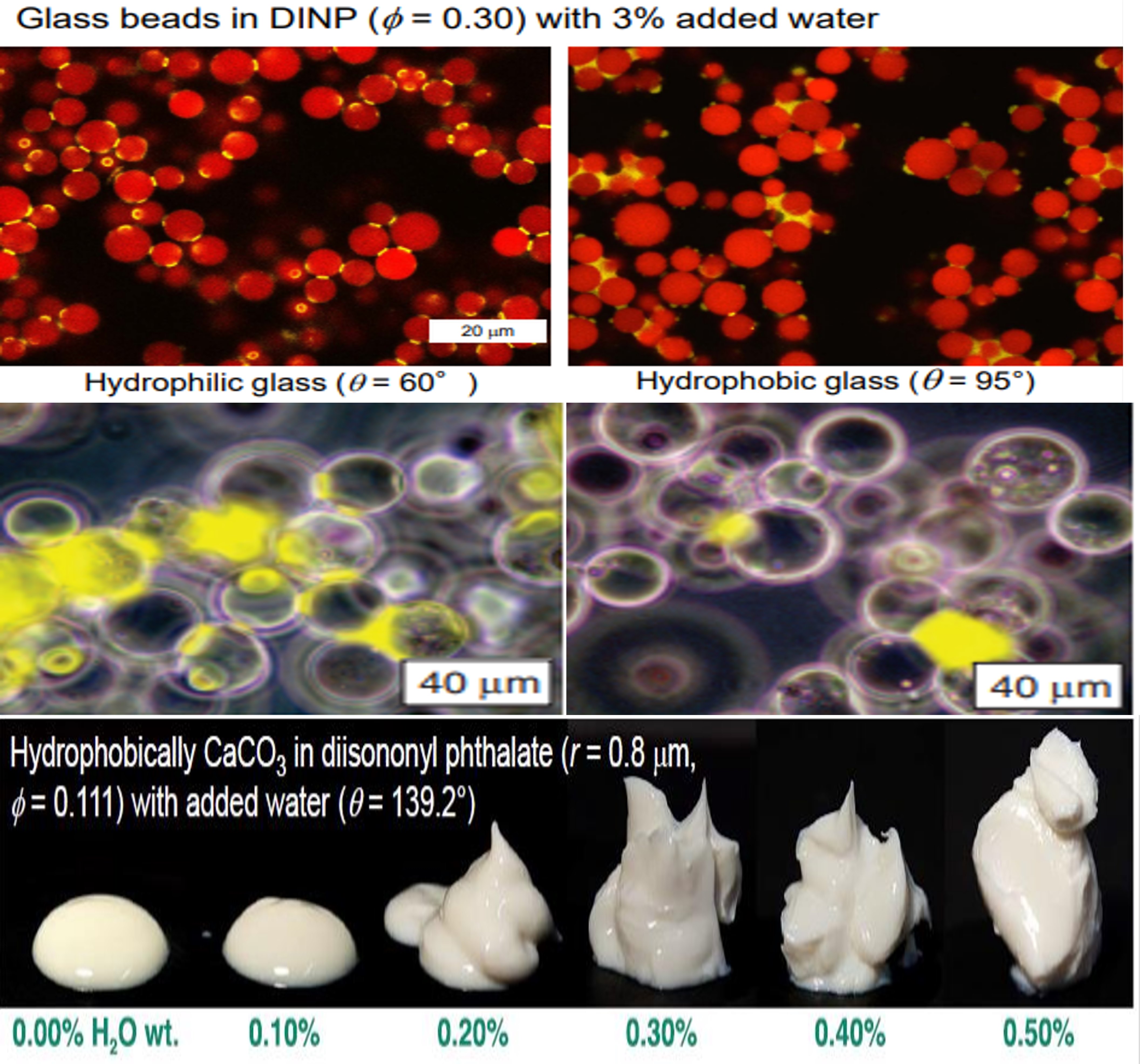 ��ҳ| ��ȦΪdu�����������